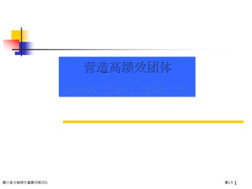 醫(yī)療企業(yè)如何營造高績效團隊.pptx